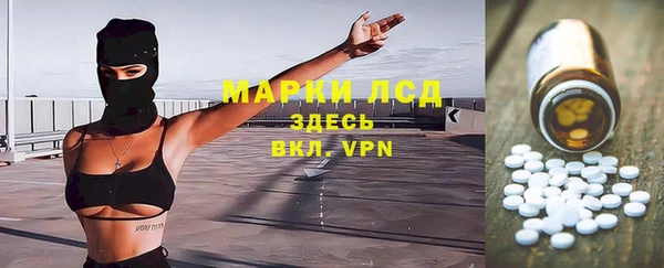 гашик Кулебаки