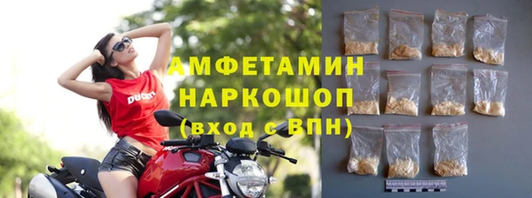 гашик Кулебаки