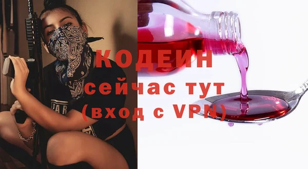 гашик Кулебаки