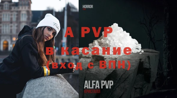 гашик Кулебаки