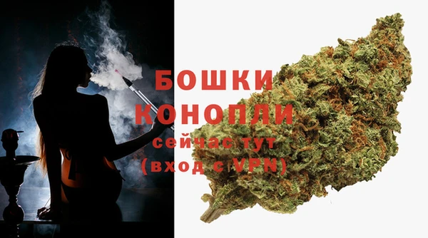 гашик Кулебаки