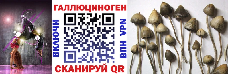 Псилоцибиновые грибы мухоморы  Купить  Белогорск 